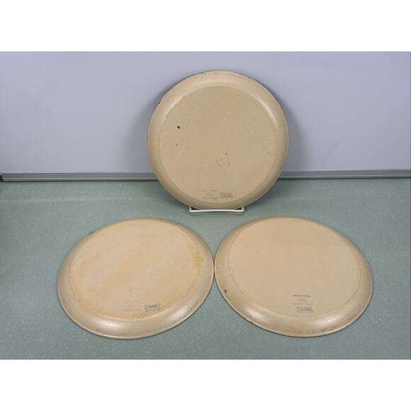 Vintage Rooster Farmhouse Rustic Plates 1940s Hand Painted Isco Japan Rare Art - Picture 3 of 5